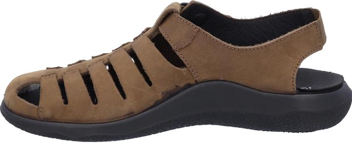 Actual product image Westland 18305-348 (42)