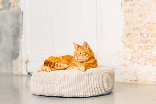 Produktbild Designed by Lotte Katzen Liegebett (Katze)