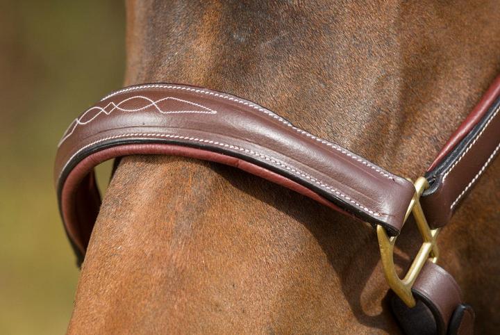 Immagine prodotto HFI Master X-Full