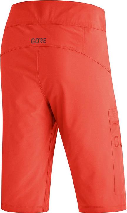 Actual product image Gore Wear Passion cycling shorts