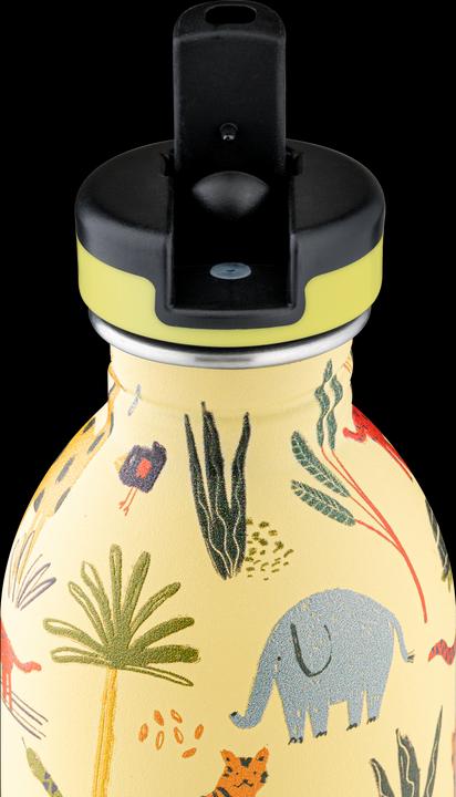 Image du produit 24 Bottles Urbain (0.25 l)