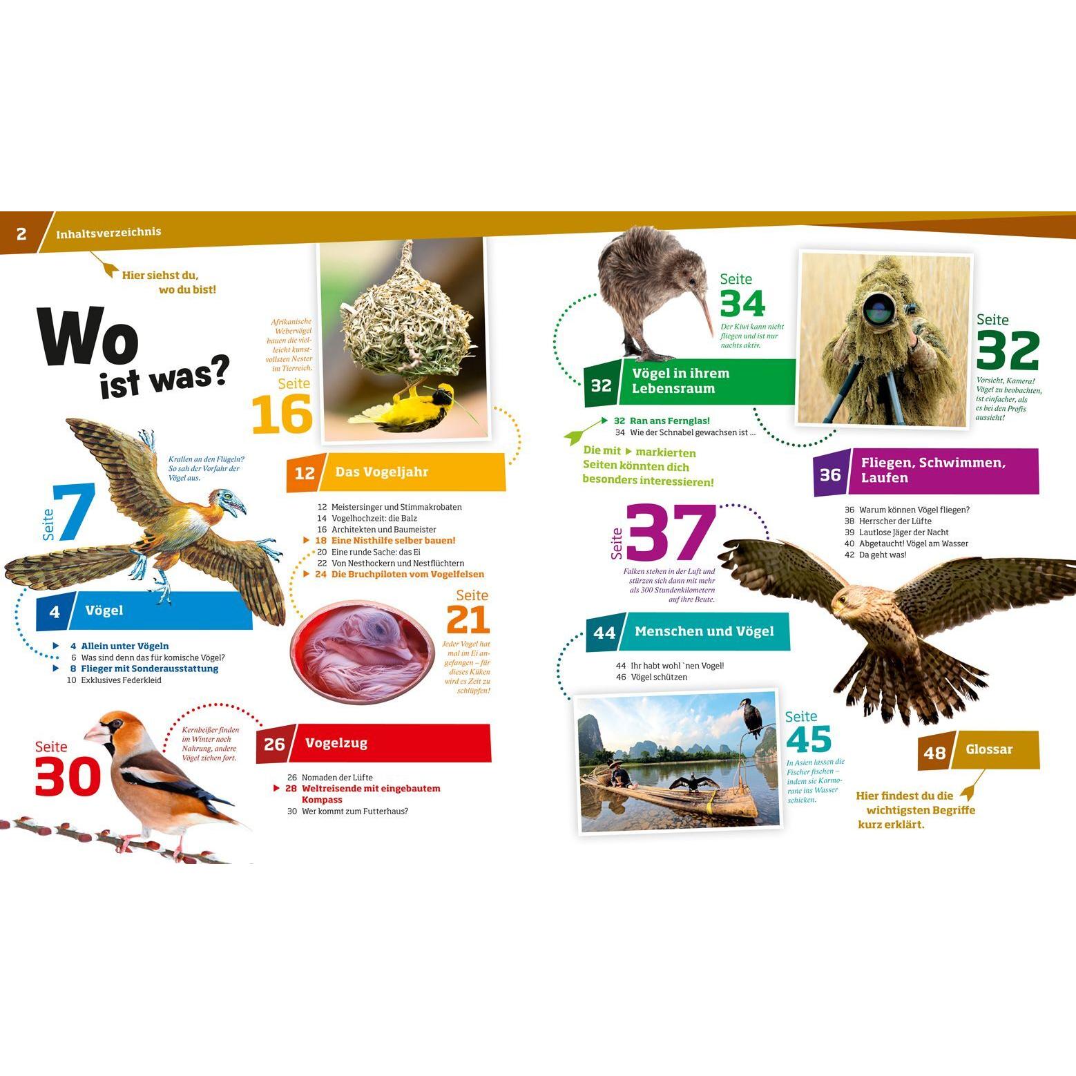 Thumbnail - Vögel, Kinderbücher von Frank Kliemt, Reiner Zieger, Alexandra Werdes