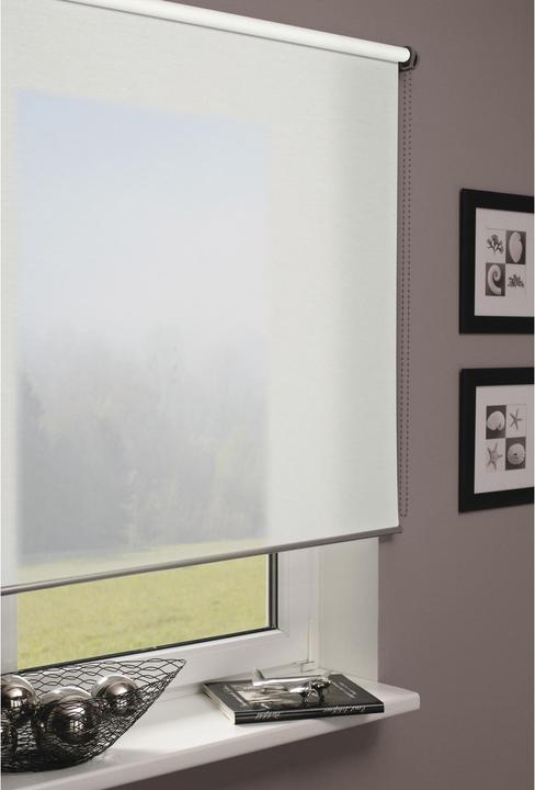 Produktbild Gardinia Seitenzugrollo Lichtdurchlässig (80 x 160 cm)