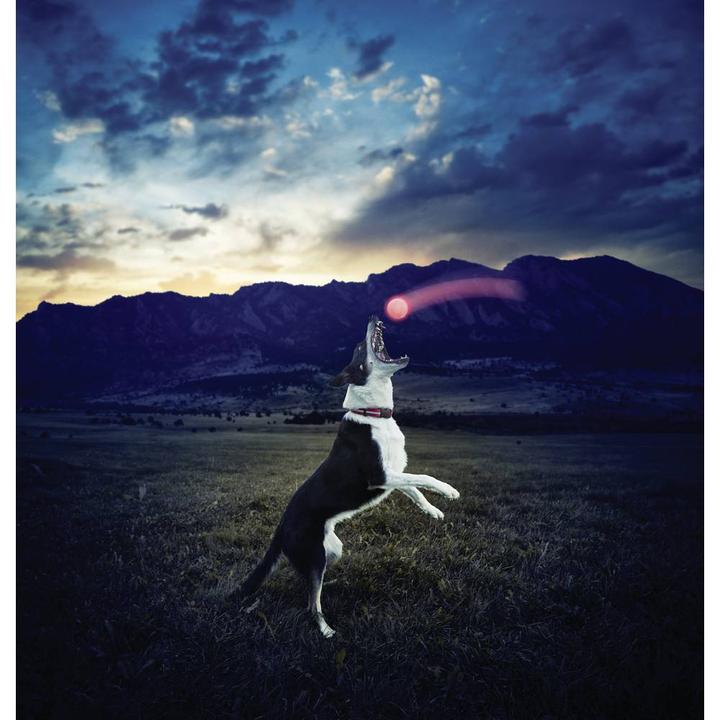Immagine prodotto Nite Ize LED Glowstreak (Palla giocattolo per cani)
