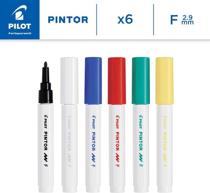 Actual product image Pilot Pintor Fine Set of 6 Standard (6x)