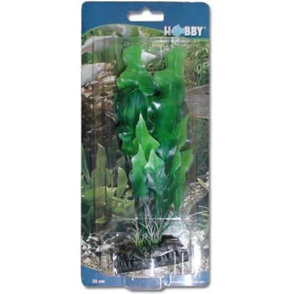 Thumbnail - Hobby Echinodrus (Dekoration, sonstige Gegenstände), Aquarium Dekoration