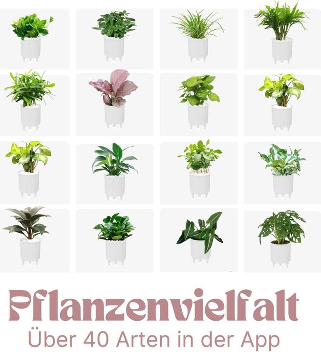 Produktbild Hermex Smarter Blumentopf (9 x 11 x 9 cm)