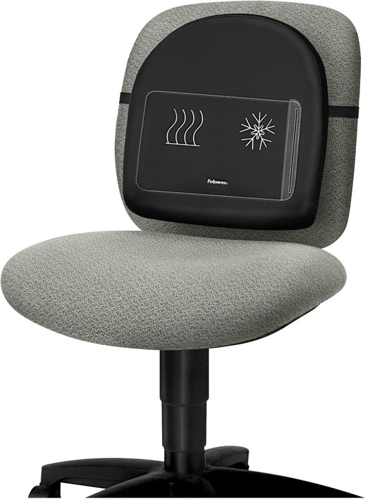 Actual product image Fellowes Back support Professonal Series