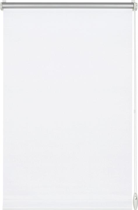 Actual product image Gardinia EASYFIX Thermo roller blind ENERGY-SAVING (95 x 210 cm)