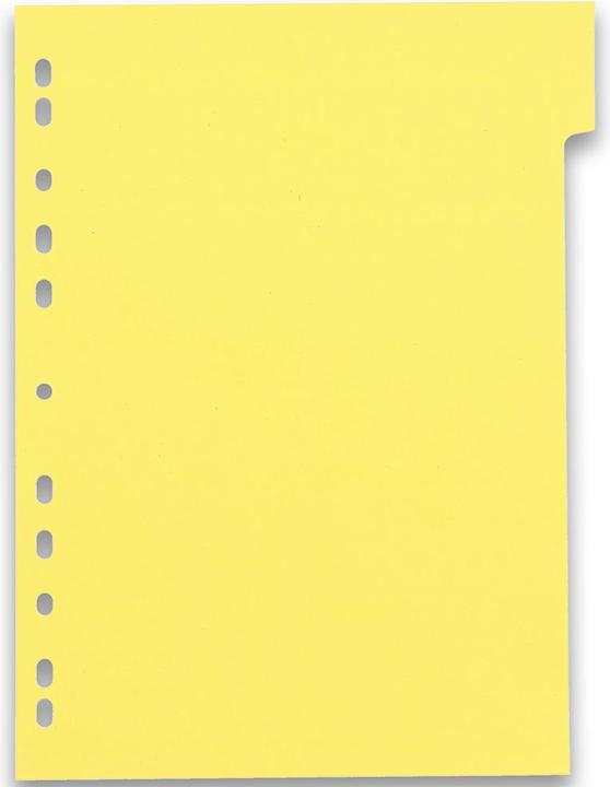 Oxford Intercalaires en carton, vierges, DIN A4, couleur, 12 pièces