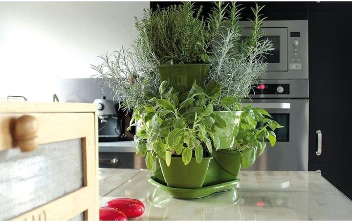 Actual product image Prosperplast Triple Pot for Herbs Coubi Herbal Anthracite