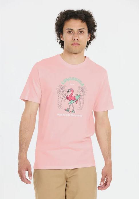 Actual product image Cruz Ankara (3XL)