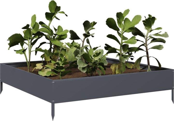 Image du produit vidaXL Hochbeet