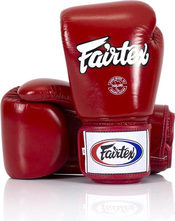 Fairtex BGV1 (14 OZ)