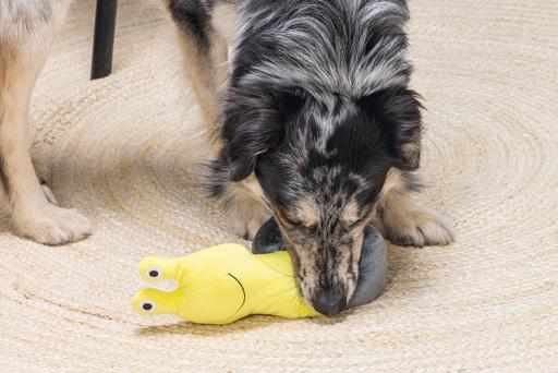 Produktbild Beeztees Hide and Seek Schnecke (Plüschspielzeug Hund)