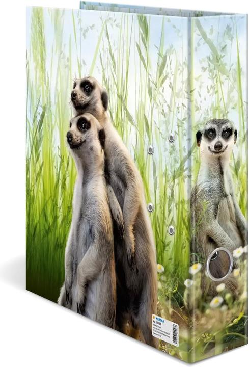 Image du produit HERMA Suricate (A4, 70 mm, 1 pièce(s))