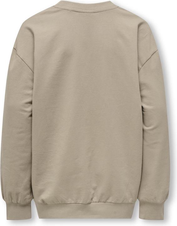 Actual product image Only & Sons Junior OSJROAD Sweatshirt Sweatshirt (158)