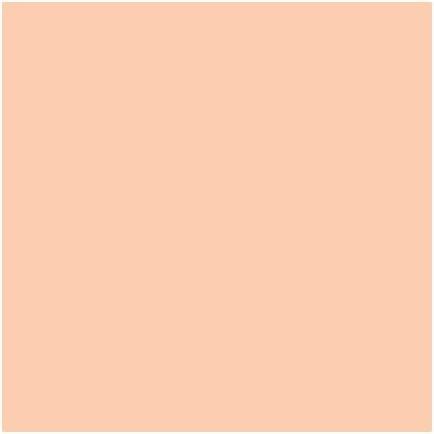 Actual product image MAC Cosmetics Studio Fix 24-Hour Smooth Wear Concealer (No. NW25)