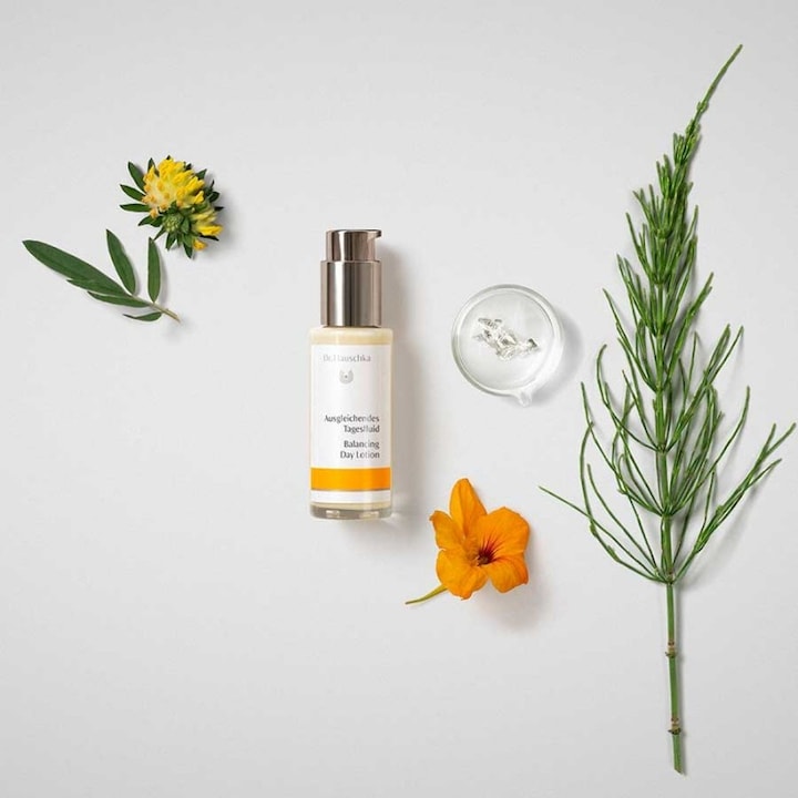 Image du produit Dr. Hauschka Fluide de jour équilibrant (50 ml)