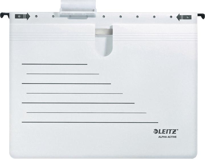 Actual product image Leitz Hanging file alpha (A4, 1 x)