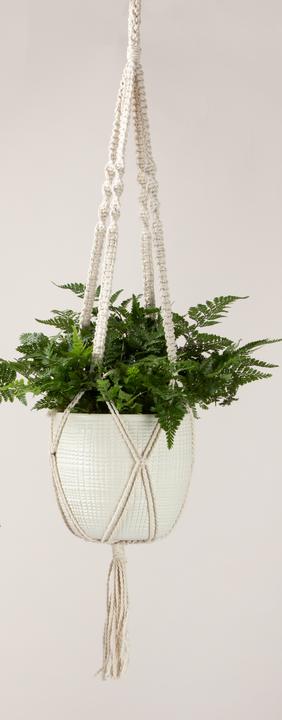 Actual product image Scheurich hanging traffic light 868 (15.60 cm)