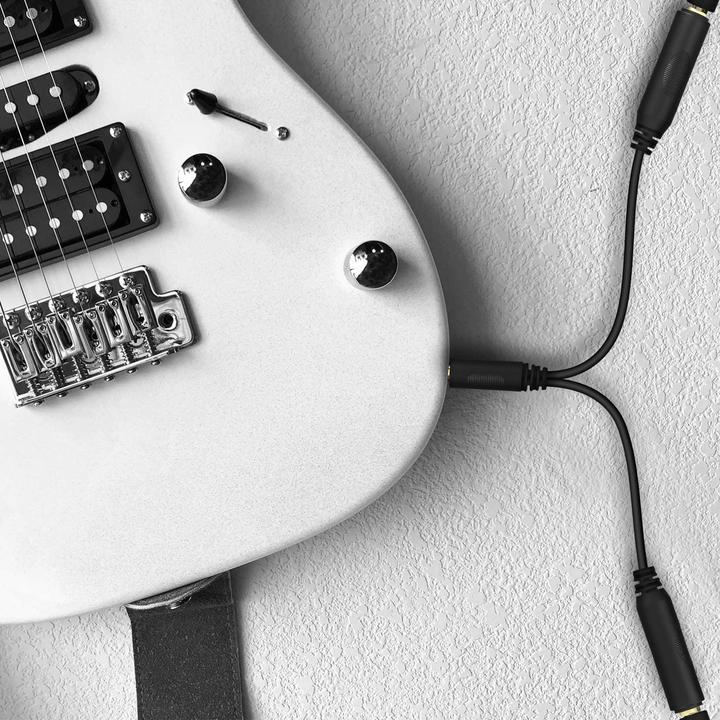 Image du produit Avizar Adaptateur/diviseur jack 6,35 mm / double jack 6,35 mm femelle (éclats)