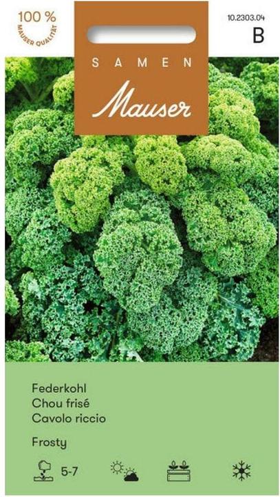 Actual product image Samen Mauser Feather cabbage Frosty (Vegetable seeds)