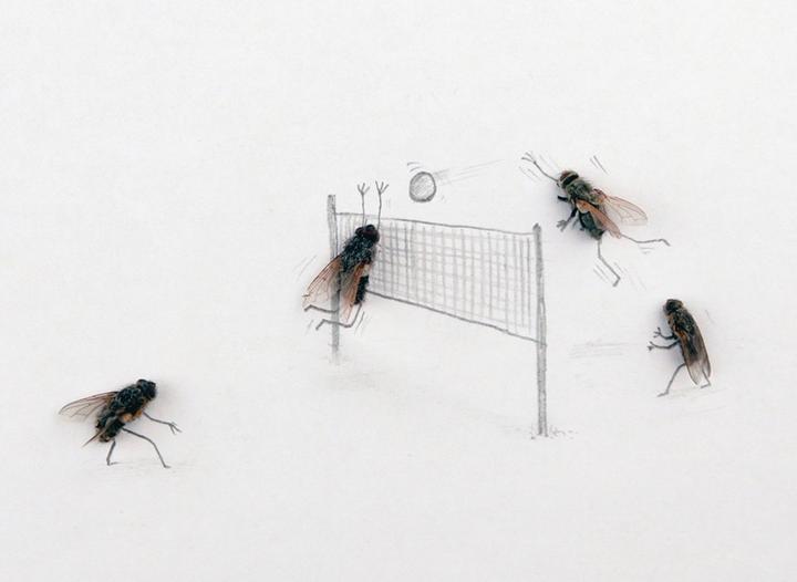 Produktbild Das geheime Leben der Fliegen (Deutsch, Magnus Muhr, 2011)