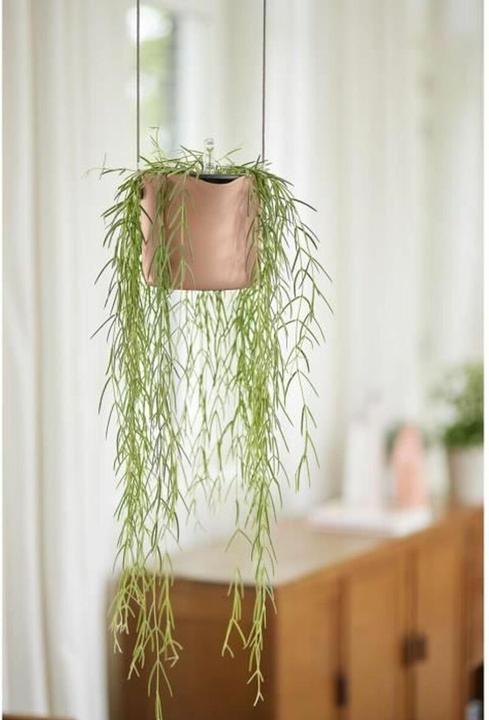 Produktbild Elho B.for Swing (20 x 17 cm)