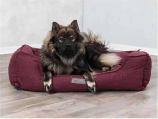 Image du produit Trixie Lit Talis (Chien)