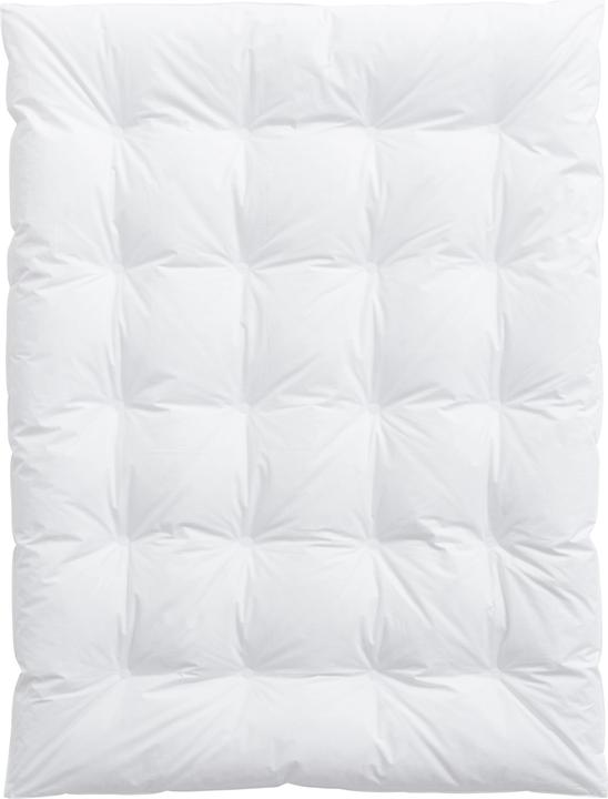 Image du produit Billerbeck Carmen Medium (Duvet, 100 x 135 cm)