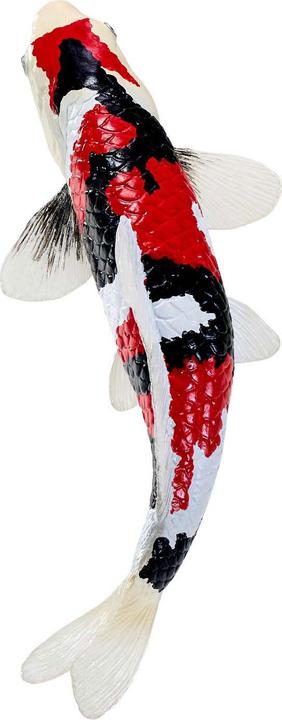 Produktbild Mojo Sealife Koi-Karpfen – Showa Sanshoku Koi – 381103