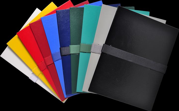 Actual product image Exacompta Folders with stretchable spine (A4, 160 x)