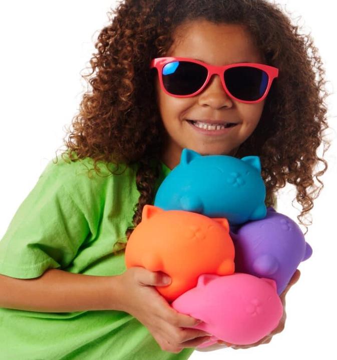 Actual product image NeeDoh Super Cool Cat (random model)