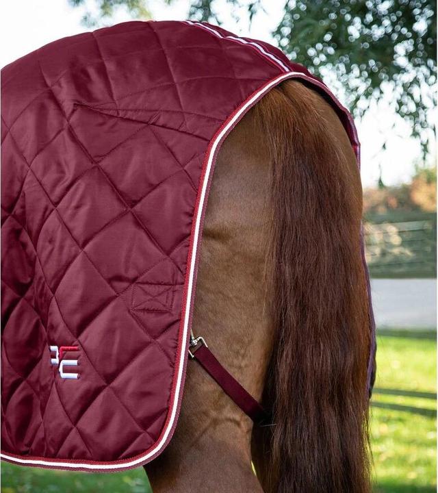 Produktbild Premier Equine Tuscan 100 g (160 cm)