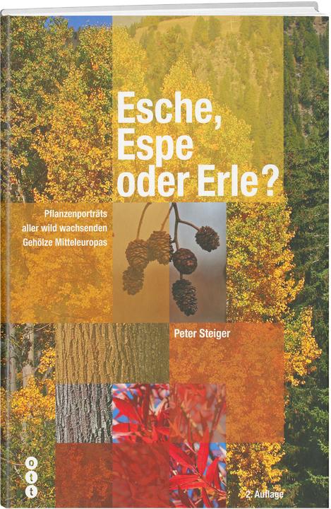 Esche, Espe oder Erle? (Deutsch, 2016)