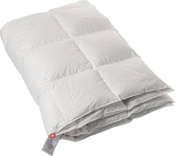 Produktbild Duvetsuisse Medium Duck Basic (1020 g, Daune, 240 x 210 cm)