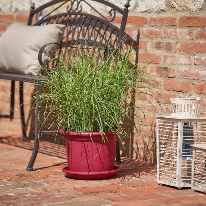 Image du produit Euro3plast Dessous de plat MEDEA 20 cm mattone rouge