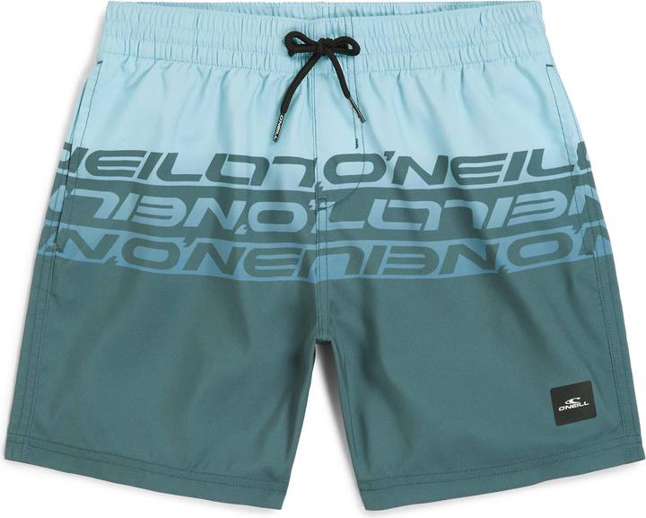 Produktbild O'Neill Cali Stripe 14" Swimshorts (164)