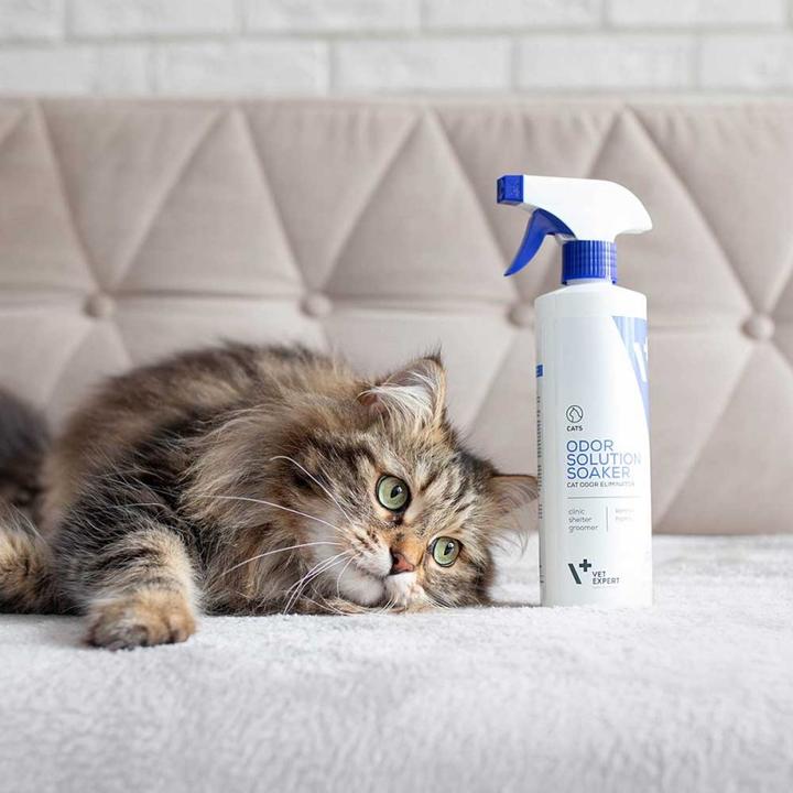 Actual product image Vet Expert Katzenurinentferner (Cat, 500 ml)