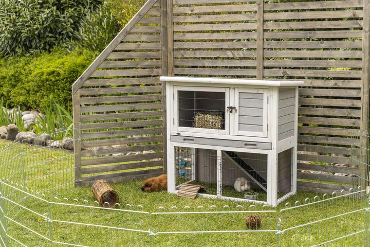 Image du produit Trixie Natura clapier pour petits animaux