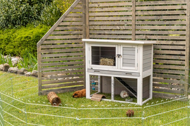 Actual product image Trixie Natura small animal hutch