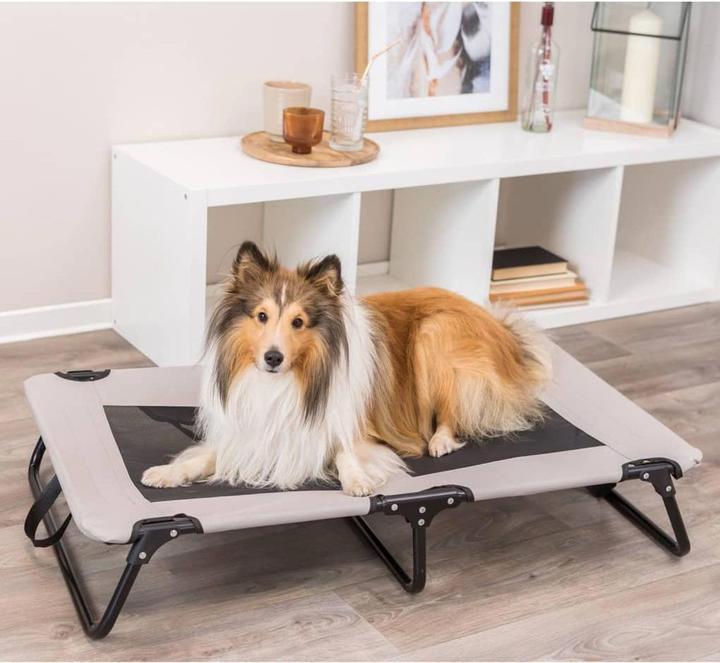 Actual product image Trixie Dog lounger Strong Edition, 99 x 19 x 60 cm (Dog)