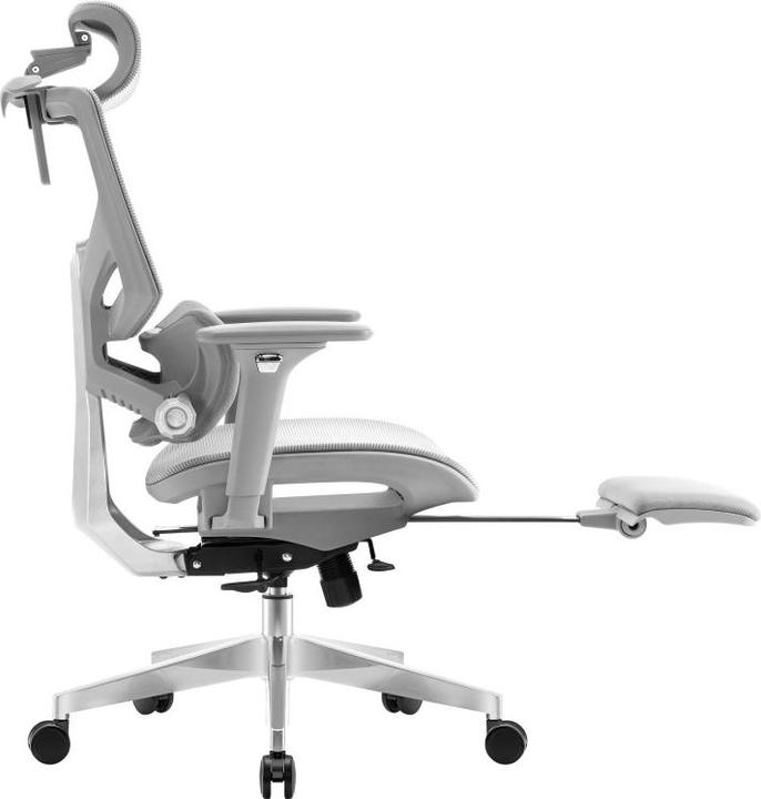 Immagine prodotto Mark Adler Esperto (48 - 56 cm)