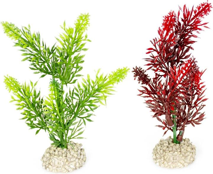 EBI Aqua Della Plante Elodea Densa Set S (Plantes)