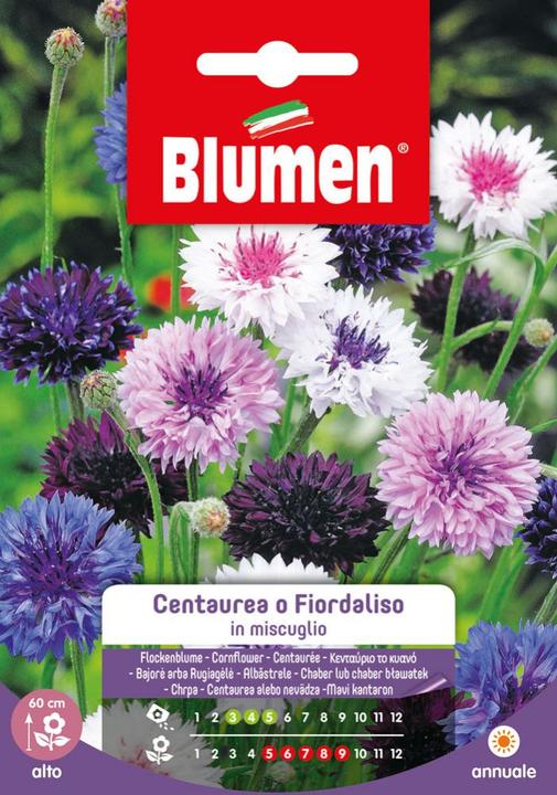 Image du produit Blumen Saatgut Kornblume Mix (Germe de bombe, Graines de fleurs)