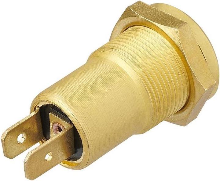 Image du produit ProPlus Prise à encastrer DIN 12V laiton sous blister