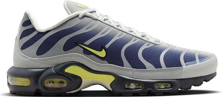 Image du produit Nike Air Max Plus Metallic Silver (38.5)