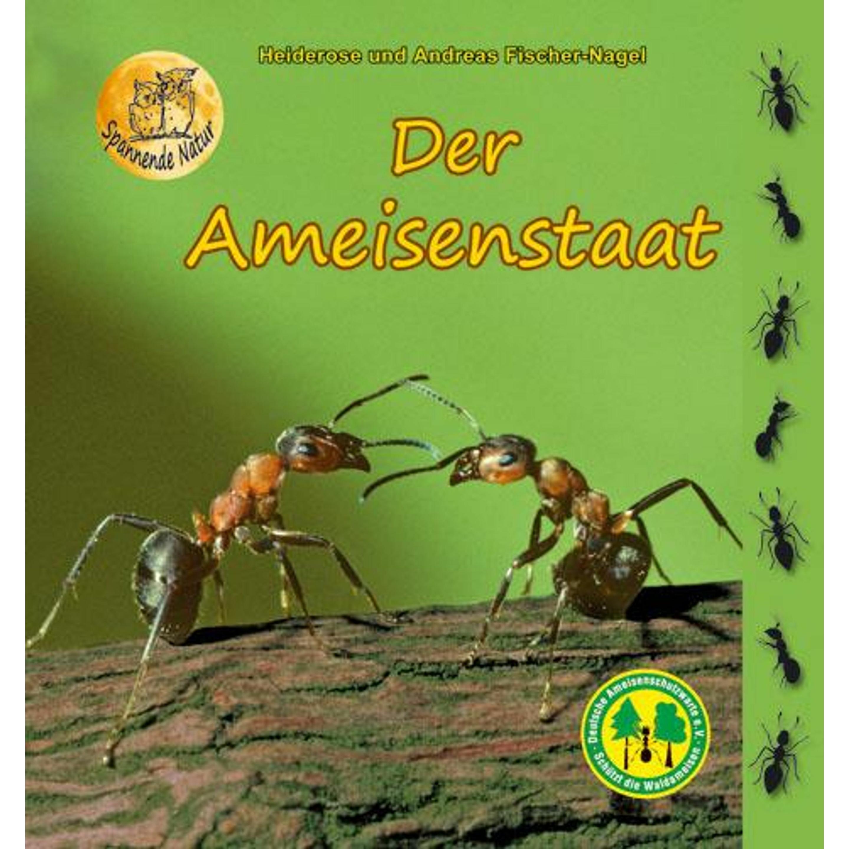 Der Ameisenstaat, Kinderbücher von Andreas Fischer-Nagel