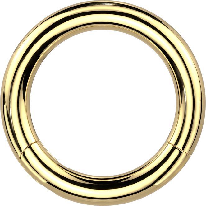 Actual product image Star Piercing Segment ring hinged gold plated (Titanium, without brass)